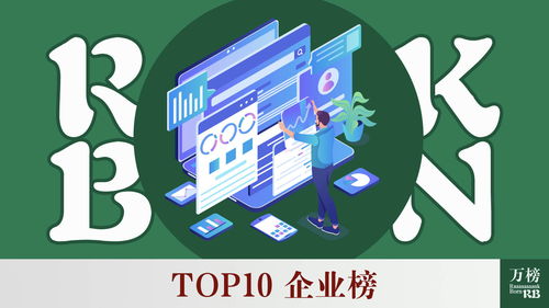 2021年中國人力資源服務行業TOP10企業榜 軟件外包服務領域洞察